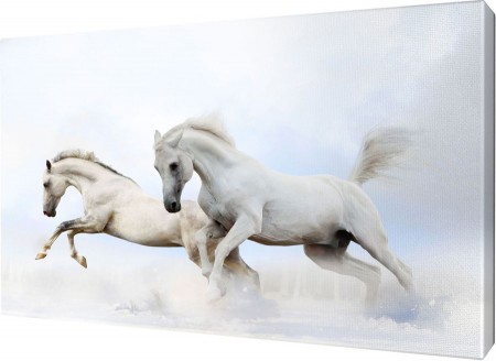 Картина на холсте 68х109 Ф1268